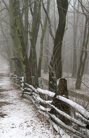 North Carolina mountains near Maggie Valley Winters Tafereel, Winter Szenen, Winter Magic, Winter Scenery, Winter Beauty, Snow Scenes, Winter Pictures, Winter Wonder, Winter Landscape