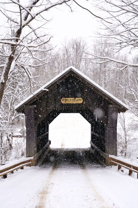 Scenes of Winter in Stowe, Vermont - New England Today Stowe Vermont Winter, Winter Scenes Wonderland, New England Christmas, Vermont Winter, England Winter, Stowe Vermont, Snow Pictures, Ski Town, Winter Photos