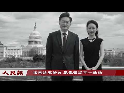 中共二十大高層換屆背後的黨內清洗：