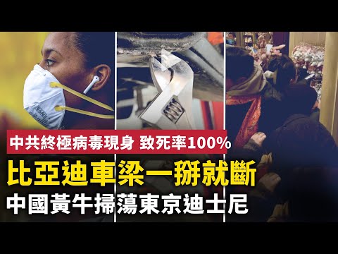 回到吃剩飯的年代 中國青年搶吃「剩菜」！比亞迪車梁一掰就斷 偷工減料