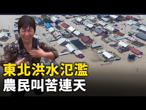 东北洪水泛滥 各大水库都泄洪 农民叫苦连天｜ #人民报