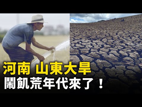 河南到底有多热  蚂蚁落地瞬间烫没了！河南、山东大旱 河床干枯  