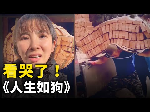 《人生如狗》引共鳴 看哭網民！｜ #人民報