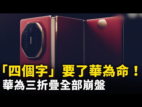 华为三折叠全部崩盘！「四个字」热梗 直接要了华为三折叠的命！ ｜ 