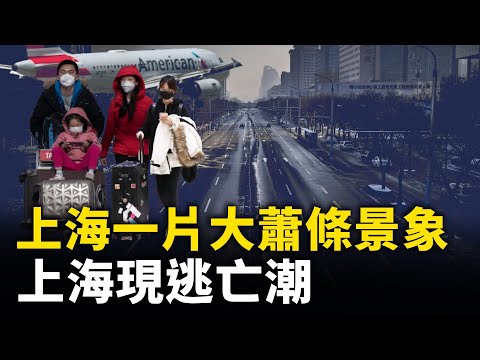 上海一片大萧条景象！ 上海现逃亡潮 一个月38万人出国 逃离上海！｜