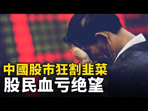 疯牛割韭菜 中国股民血亏感到绝望！！｜ #人民报