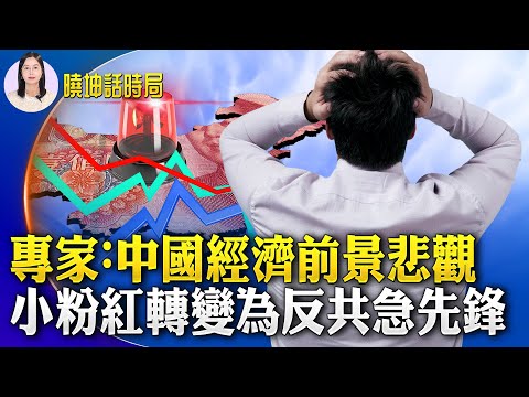 专家：中国经济前景悲观；小粉红抛弃爱国洗脑教育 转变为反共急先锋；