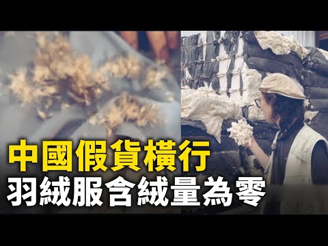 中国假货横行！羽绒服造假 含绒量为零 掺杂猪狗毛 ！