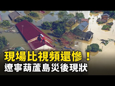 辽宁葫芦岛灾后现状！志愿者：现场比视频还惨 看完现场没有不哭的！｜ 