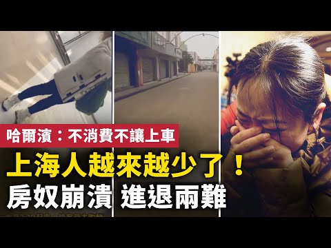 上海人越來越少了！哈爾濱：不消費不讓上車！上海外賣捲到4元一單！