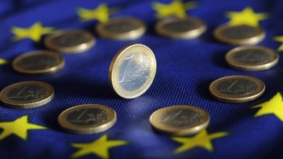 Der Euro: Eine Währung, die Deutschland teuer zu stehen kommt