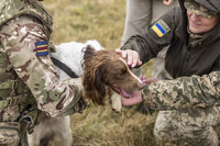 英國協訓烏克蘭軍犬領犬員  助除未爆彈