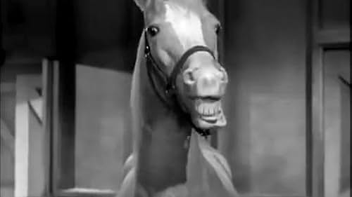 Mister Ed: Season Three