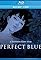 Into the Blue - Perfect Blue Relay Interview File's primary photo