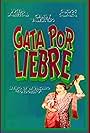 Gata por liebre (1992)