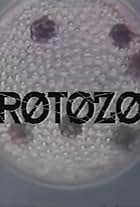 Protozoa