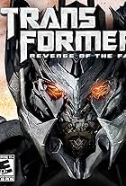 Transformers: Revenge of the Fallen - Decepticons