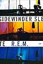 R.E.M.: The Sidewinder Sleeps Tonite (1993)