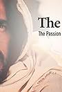 The Last Days: The Passion and Death of Jesus the Christ (2021)