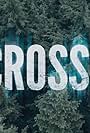 The Crossing (2013)