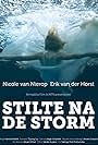 Stilte na de storm (2011)