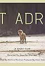 Set Adrift (2016)