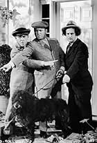 Moe Howard, Larry Fine, Curly Howard, and The Three Stooges