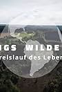 Kielings wilde Welt (2014)