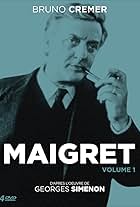 Maigret et la grande perche (1991)