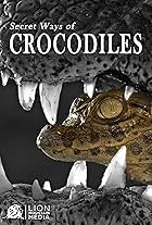 Secret ways of Crocodiles (2023)