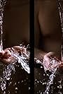 Ablutions (2005)