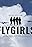 FlyGirls the Series