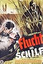 Flucht ins Schilf (1953)