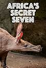 Africa's Secret Seven (2003)