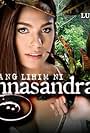 Andrea Torres in Ang lihim ni Annasandra (2014)