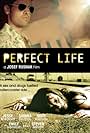 Perfect Life (2010)