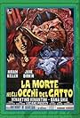 La morte negli occhi del gatto (1973)