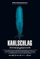 Kahlschlag