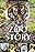 Zoo Story