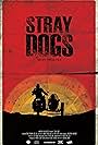 Stray Dogs