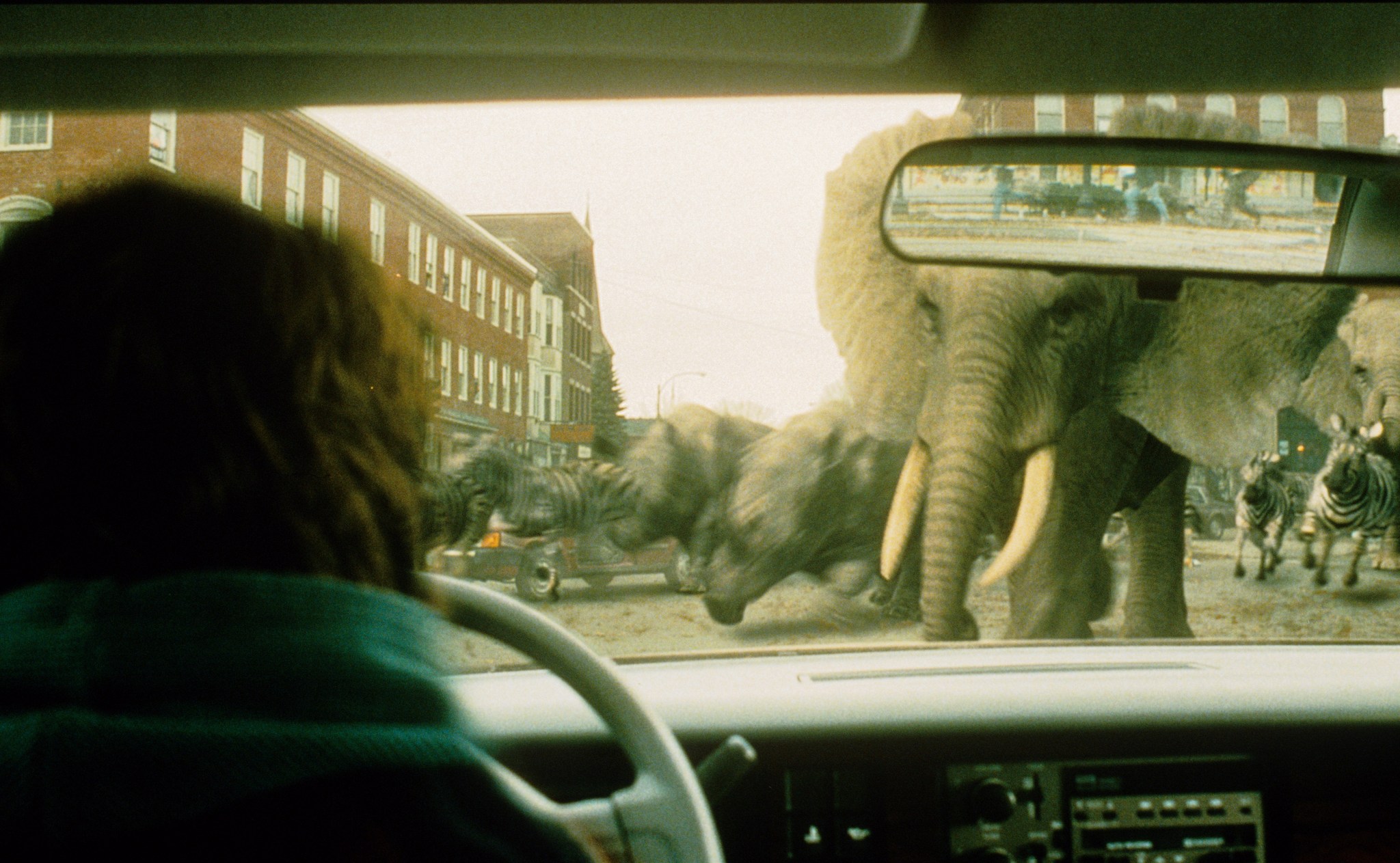 Bradley Pierce in Jumanji: Trò Chơi Bí Ẩn (1995)