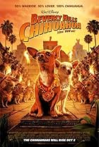 Những Chú Chó Chihuahua Ở Đồi Beverly