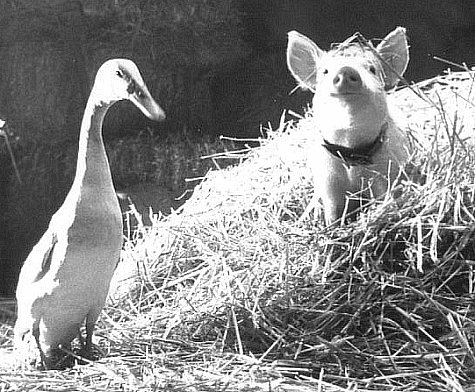 Elizabeth Daily and Danny Mann in Chú Heo Vào Thành Phố (1998)