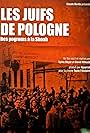 Les Juifs de Pologne, des pogroms à la Shoah (2012)