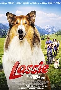 Primary photo for Lassie: A New Adventure