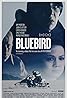 Bluebird (2013) Poster