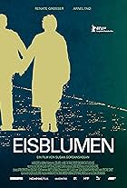 Eisblumen (2011)