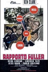 Rapporto Fuller, base Stoccolma (1968)