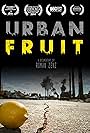 Urban Fruit (2013)