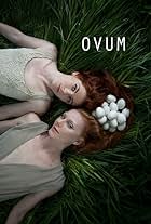 Ovum (2015)